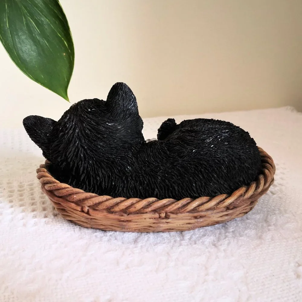 Cute Sleeping‎ Cat in Basket